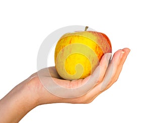 Yellow apple on female palm