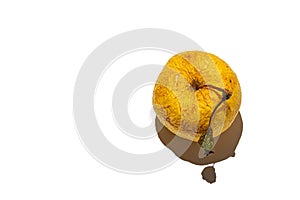 Yellow apple with ponytail with shriveled dry skin isolated on white background