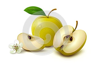 Yellow apple with slices on white background