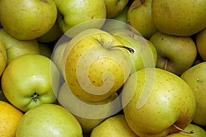 Yellow apples market closeup