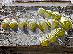 Yellow arrow of scallops marker of camino de santiago