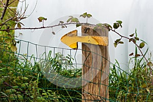 Yellow arrow sign on the Primitive Way Camino Primitivo in Asturias