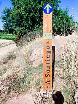 Yellow arrow photo