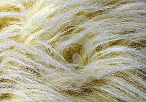 Yellow Artificial Fur Background