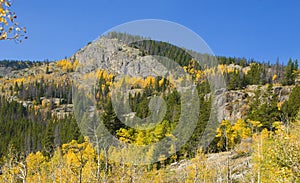 Yellow Aspens and Rocky Knoll photo