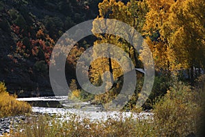 Fall colors in the mountains