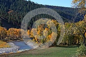 Fall colors in the mountains