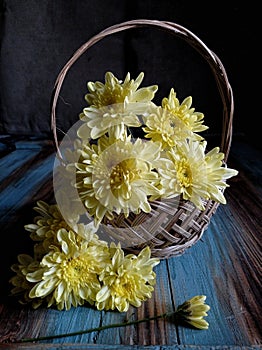 Yellow aster at weaving rattan basket stilllife with dari background