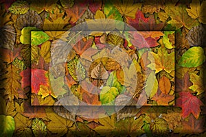 Yellow autumn background with fallen leaves