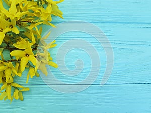 Yellow autumn bloom flowers natural season on a blue wooden background