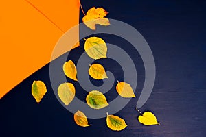 Yellow Autumn canvas background umbrella yellow leaves blue orange