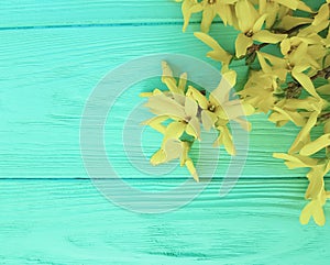 yellow autumn flowers on mint wooden background
