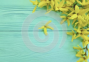 Yellow autumn flowers season on a blue wooden background