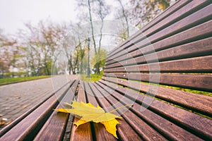 Yellow autumn leaf on the bench in the park, autumnal seasonal concept
