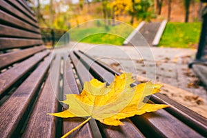 Yellow autumn leaf on the bench in the park, autumnal seasonal concept