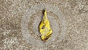 A yellow autumn leaf falling on the concrete floor