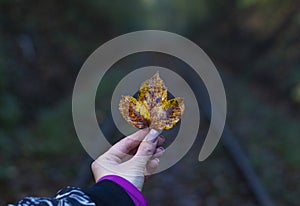 A yellow autumn leaf held in his hand in the direction of the train track