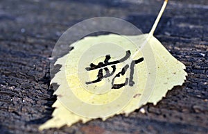 Yellow autumn leaf pattern similar to Japanese kanji, signature autumn