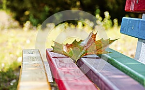 Yellow autumn leaves falling on a colored bench.