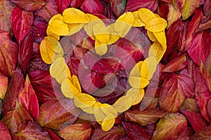 Yellow autumn leaves form a heart before red autumn leaves, for background