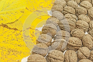 Yellow autumn leaves and lot walnuts on white table