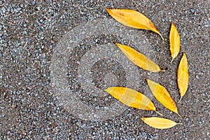 Yellow autumn leaves lying on a gravel background, the form of leaves like they are flying blown away by the wind, copy