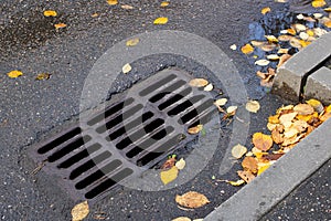 Yellow autumn leaves on sewer grate on road