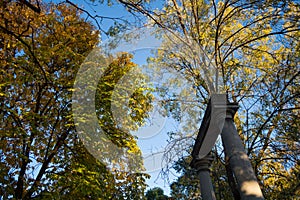 Yellow Autumn Leaves on Trees with Arch at Carmen de los Martires Park in Granada, Spain