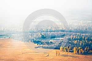 Yellow autumn trees and river in morning fog at sunrise. Chuya river in Kurai steppe, Altai, Russia