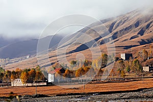 Yellow autumn village