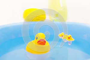 Yellow baby ducks swim in a blue basin. Concept for washing baby clothes or bathing.Soft and Selective focus