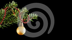 Yellow ball and red string of beads on a green branch of a Christmas tree isolated on a black background