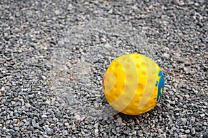 Yellow Ball toy for dog on Bedrock