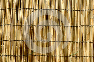 yellow bamboo curtain wooden background