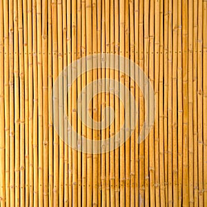 yellow bamboo texture background in the coffee shop