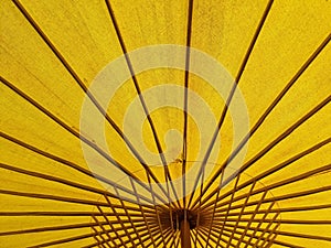 yellow bamboo umbrella