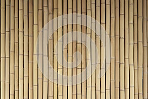 Yellow bamboo wooden fence. Background from bamboo, wood texture