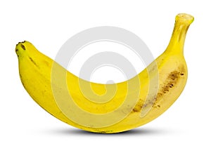 Yellow Banana img