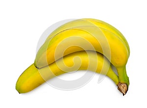 Yellow banana grounp