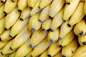 Yellow Bananas photo