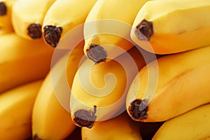 Yellow bananas close-up, Macro in full screen photo