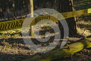 yellow barrier tape in pine dark forest. Crime scene.Entry ban. No entry. stop motion tape. Murder and crime