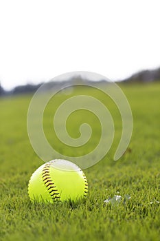 Yellow baseball on park grass