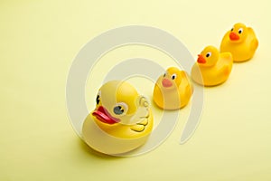 Yellow bath ducks