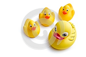 Yellow bath ducks