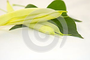 Yellow beans on a white background.