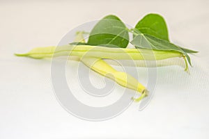 Yellow beans on a white background.