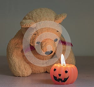A yellow bear with a halloween pumpkin candle