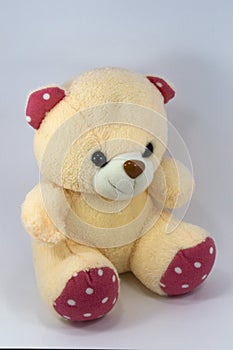 A yellow bear on a white background