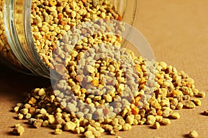Yellow Bee Pollen